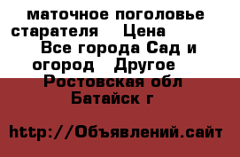 маточное поголовье старателя  › Цена ­ 3 700 - Все города Сад и огород » Другое   . Ростовская обл.,Батайск г.